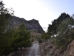 Yacimiento  Sisaya 2007